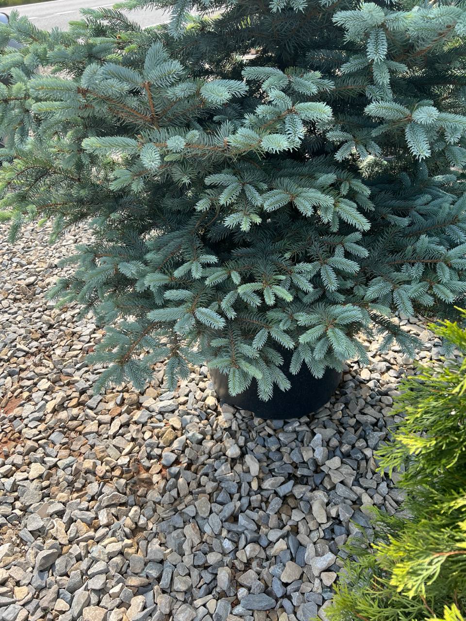 — Ти думаєш, я повірю, що чек із магазину ти викинула ненавмисно? Знову, напевно, дурницю непотрібну собі купила і тепер боїшся зізнатися? Досить спускати мої гроші! Ти сидиш на моїй шиї, не працюєш – будь люб’язна відзвітувати за кожну витрачену копійку