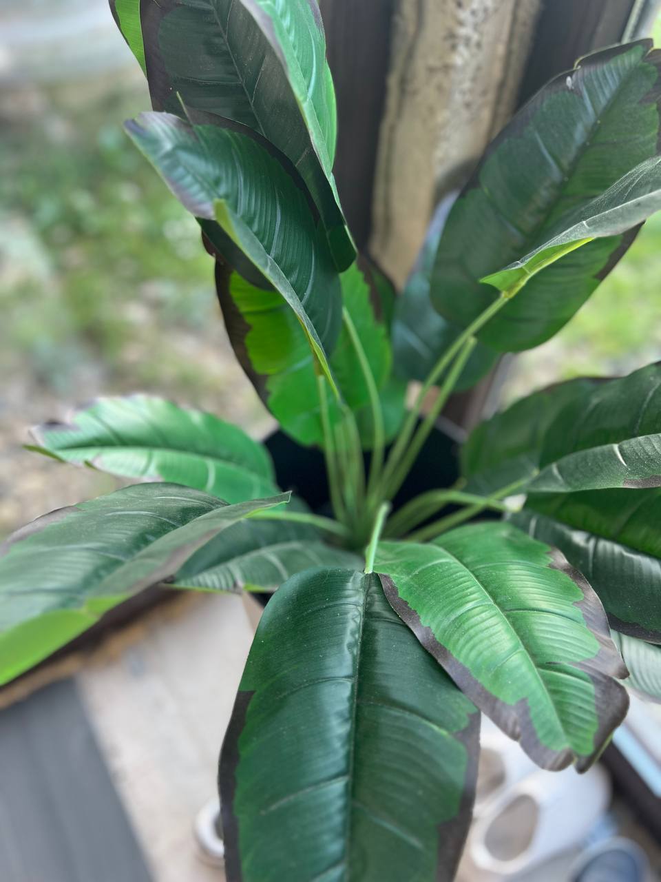 Не приїдемо ми до вас, сил нема, – сказала сухо мені мама, коли нарешті від мене слухавку взяла. Не говорила вона зі мною більше тижня, і я відразу зрозуміла, що щось сталося, бо такого ще жодного разу не було. Виявляється, що мама образилася, коли дізналася, що моя свекруха поїхала в санаторій на відпочинок. – Звідки у свахи такі гроші? Я цікавилася, там два тижні коштує 40 тисяч гривень, – з подивом питає мене мама. Якщо чесно, то я найбільше боялася, що мама мені задасть це питання, бо брехати я не люблю, а правду казати не можу