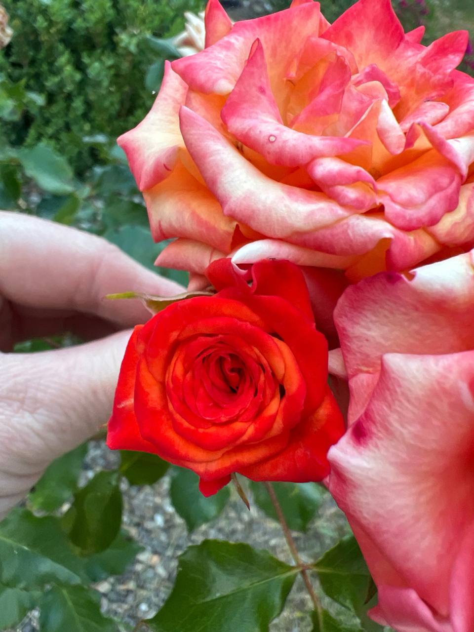 – Віка, розумієш, ну так вийшло … вибач. Пам’ятаєш? – Тоді, коли ми ще тільки почали зустрічатися, ми вирішили…що якщо хтось раптом зустріне іншу людину, то ми просто відпустимо один одного, ну пам’ятаєш? – Макс, – Віка плачучи дивилася на чоловіка, – нам тоді було по чотирнадцять. А тепер по тридцять, ми з тобою сім років одружені…