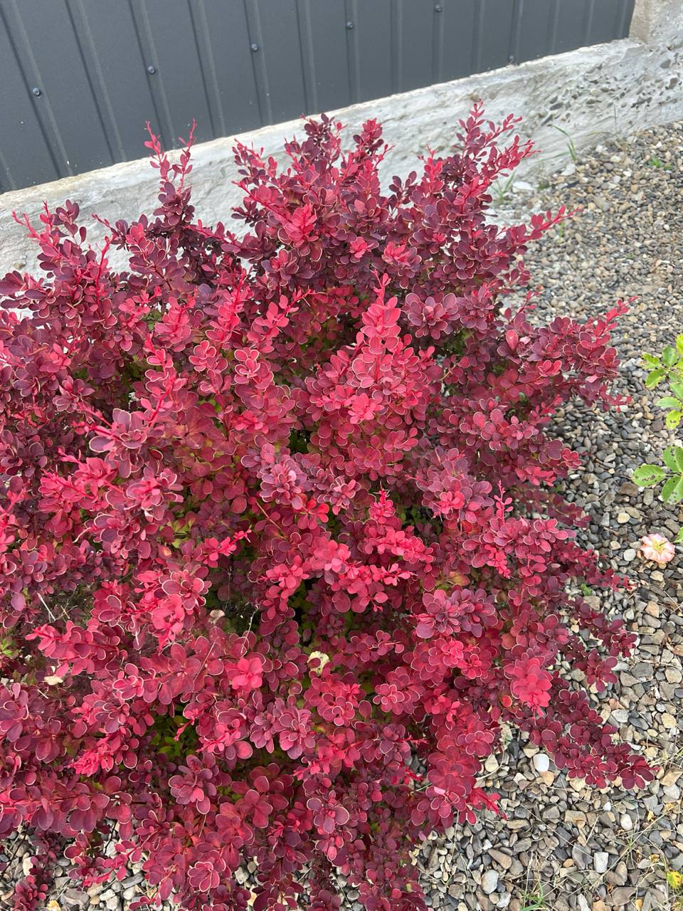 З Валькою такими подругами ви були, що ти! Не розлий вода, а з чоловіком її не цуралася ти бути! Щось не боялася ти ні пересудів, ні пліток, а зараз що ж? Що ти раніше дітей не соромилася? Не боялася, що почують вони? Нехай знають діти, що мати в них така! А може й діти не мої, а Івана, га, Людко? Що мовчиш?