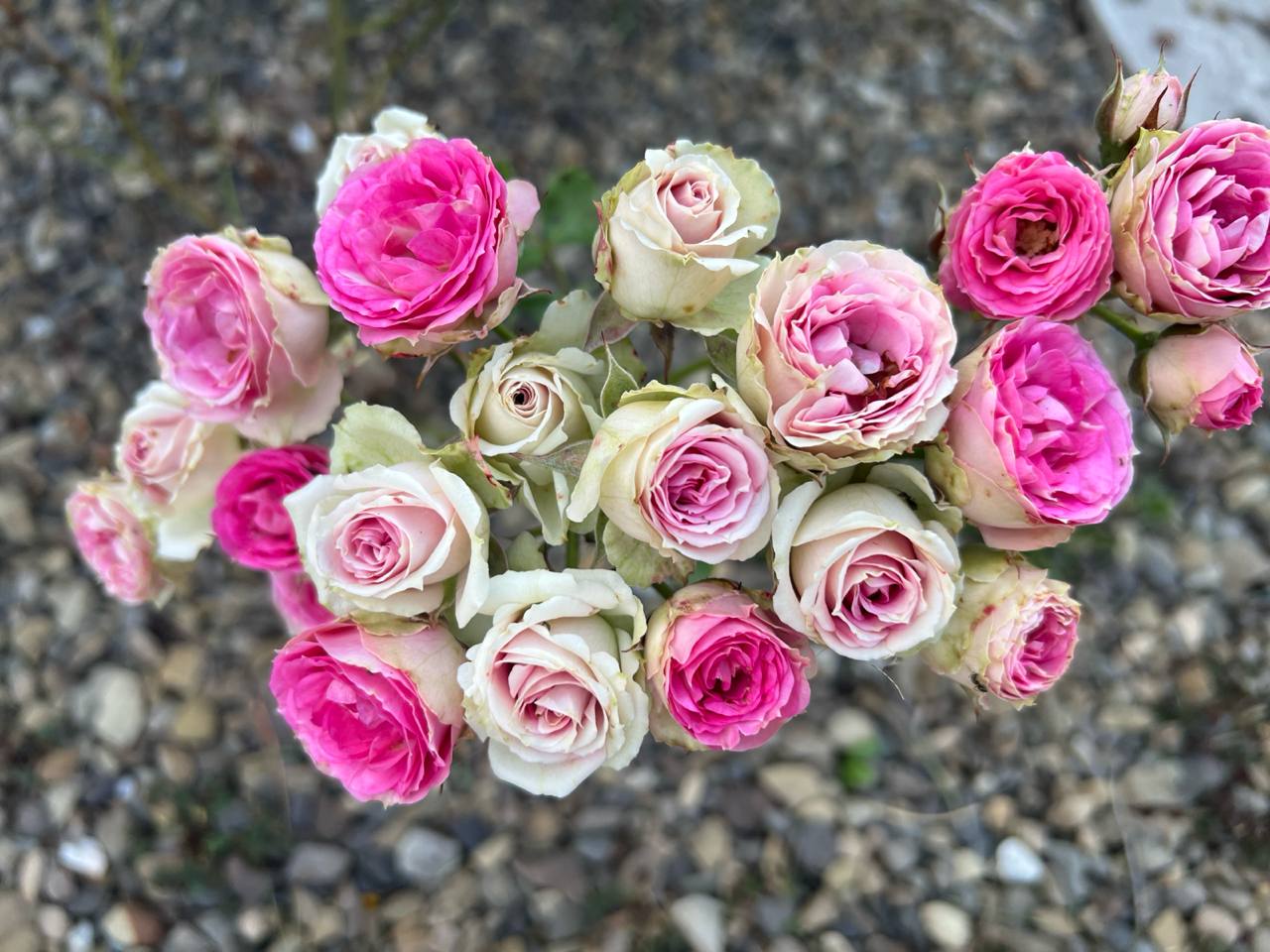 – Нехай там припадає пилом. З минулим потрібно вміти прощатися. Давай вечеряти