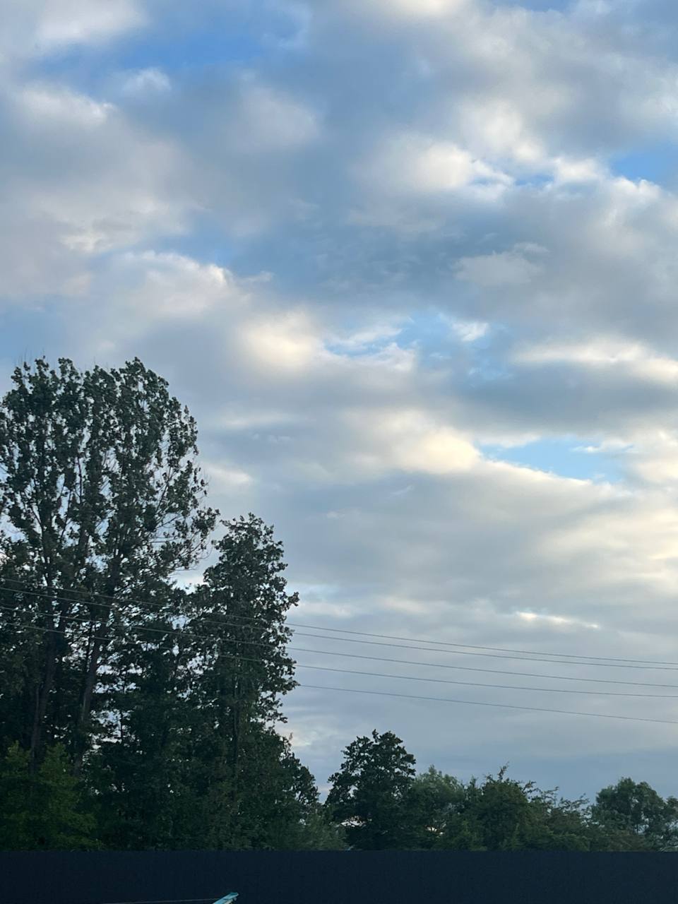 Зачекай, то ти хочеш сказати, що ти тут в Італії навіть не заради своїх дітей, а чужим допомагаєш? – з подивом питають мене жінки, такі ж, як і я, заробітчанки. – Ну чому чужі, так, вони мені не рідні, але це діти Миколи, а тому я вважаю їх і своїми дітьми, – спробувала я пояснити ситуацію, та мене тут явно ніхто не зрозумів. – Поліно, дивись сюди, я 20 років своїм рідним дітям допомагаю, але розумію, що я їм не потрібна, бо і син, і донька уже мене попередили, що не хочуть, щоб я жила з ними, коли додому повернуся, і це рідні діти. А ти на що сподіваєшся? – заробітчанка із стажем Марія з усіх сил хотіла пояснити мені, що я неправильно роблю