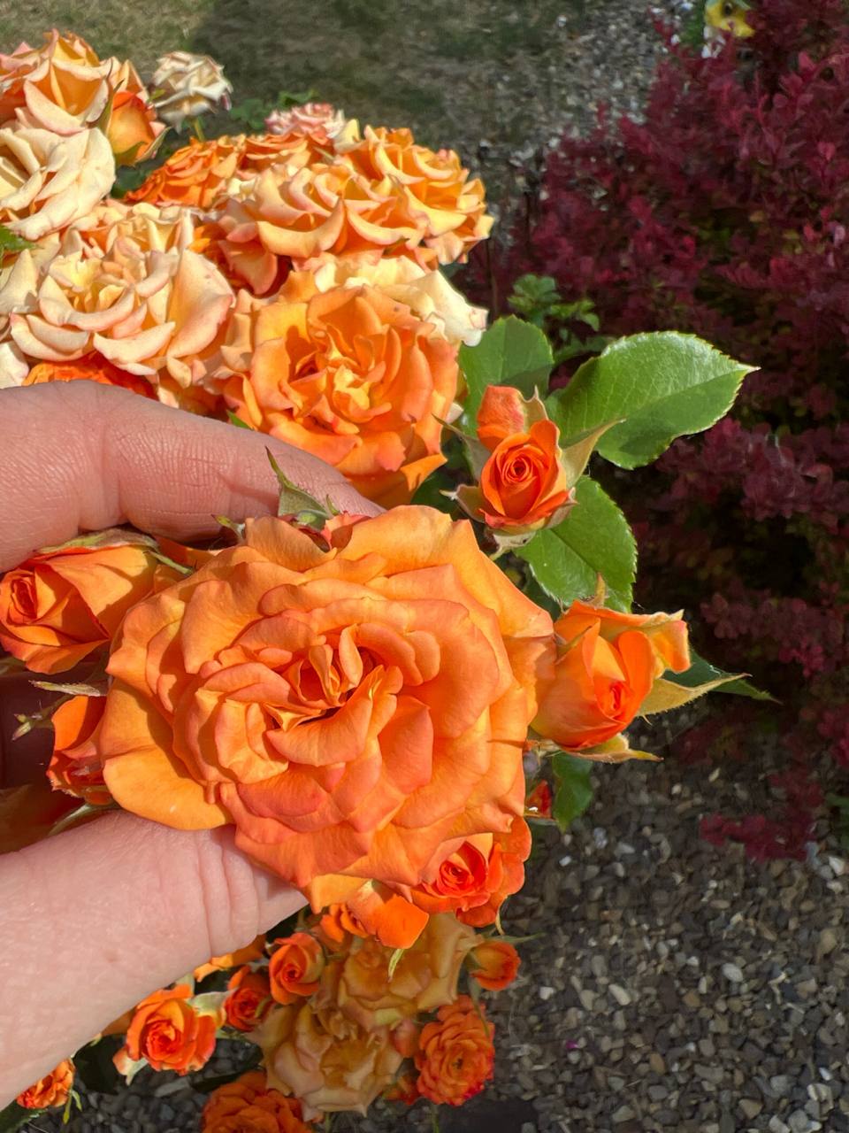 Спочатку було важко – все нове, чужа мова, не дуже добрі умови, ми винаймали квартиру, 6 жінок тіснилися у двокімнатній квартирі