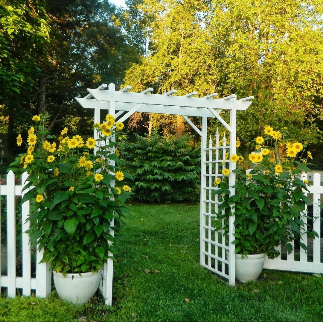 – Я зателефонувала доньці, веліла речі збирати. Ти, якщо хочеш, у місто повертайся. Я доглядальницю назад найму, – тихо сказала бабуся