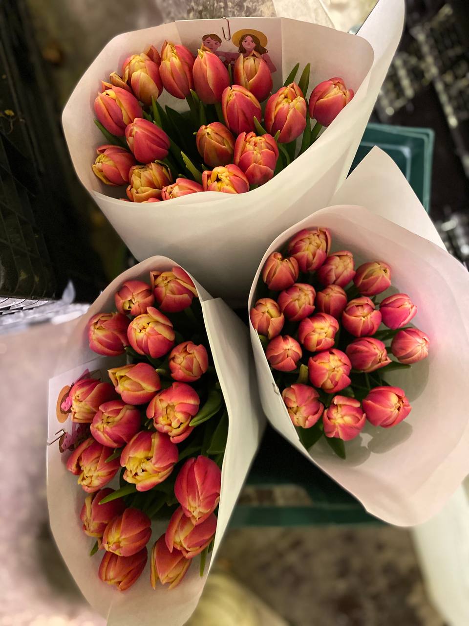 – Ану, швидко збирайте свої речі, й щоб вашого духу тут не було! Даю десять хвилин! І ні хвилини більше! – І то тільки тому, що ви мені не чужі, – закричала Поліна Олегівна на зухвалу племінницю