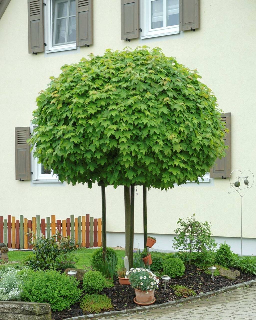 – А ти що думала, у нас вічне кохання? – раптом зло усміхнувся він. – Я тобі дах над головою дав, діти при мені, що тобі ще треба