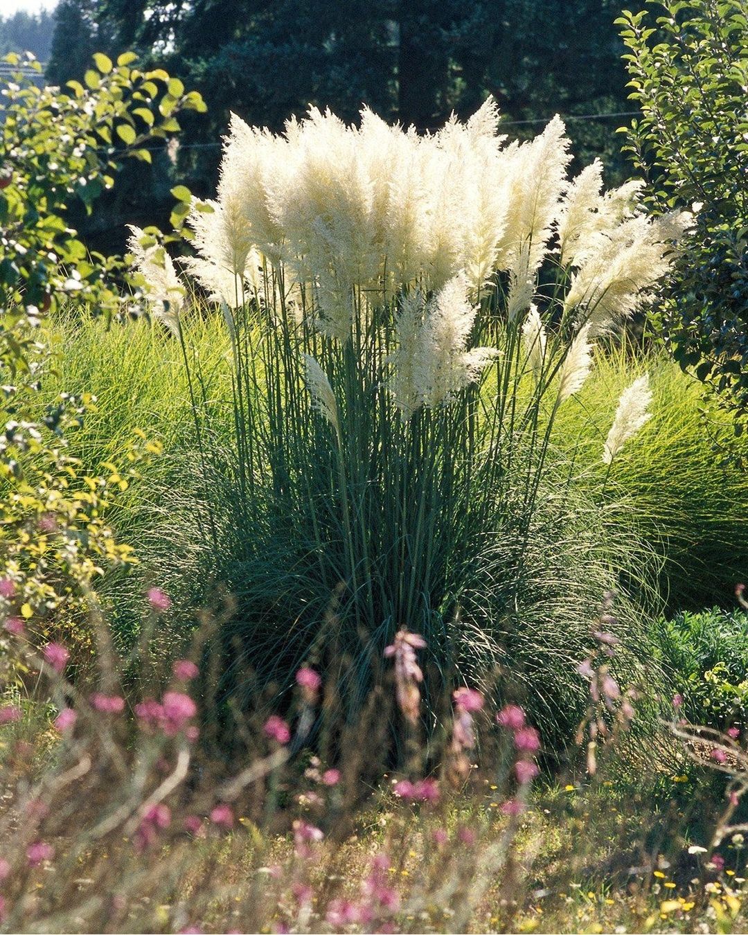 Одинока мати переїхала до села і прихистила хворого багатія, а коли через місяць приїхала його дружина з нотаріусом за заповітом…👇