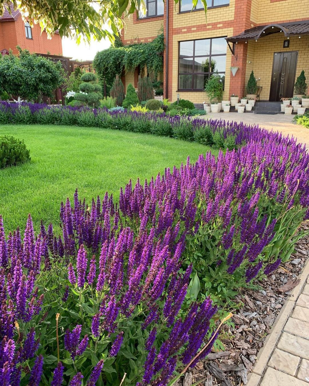 Валентино Сергіївно, ви називаєте мене найгіршою невісткою, а потім приходьте по гроші. Це повага