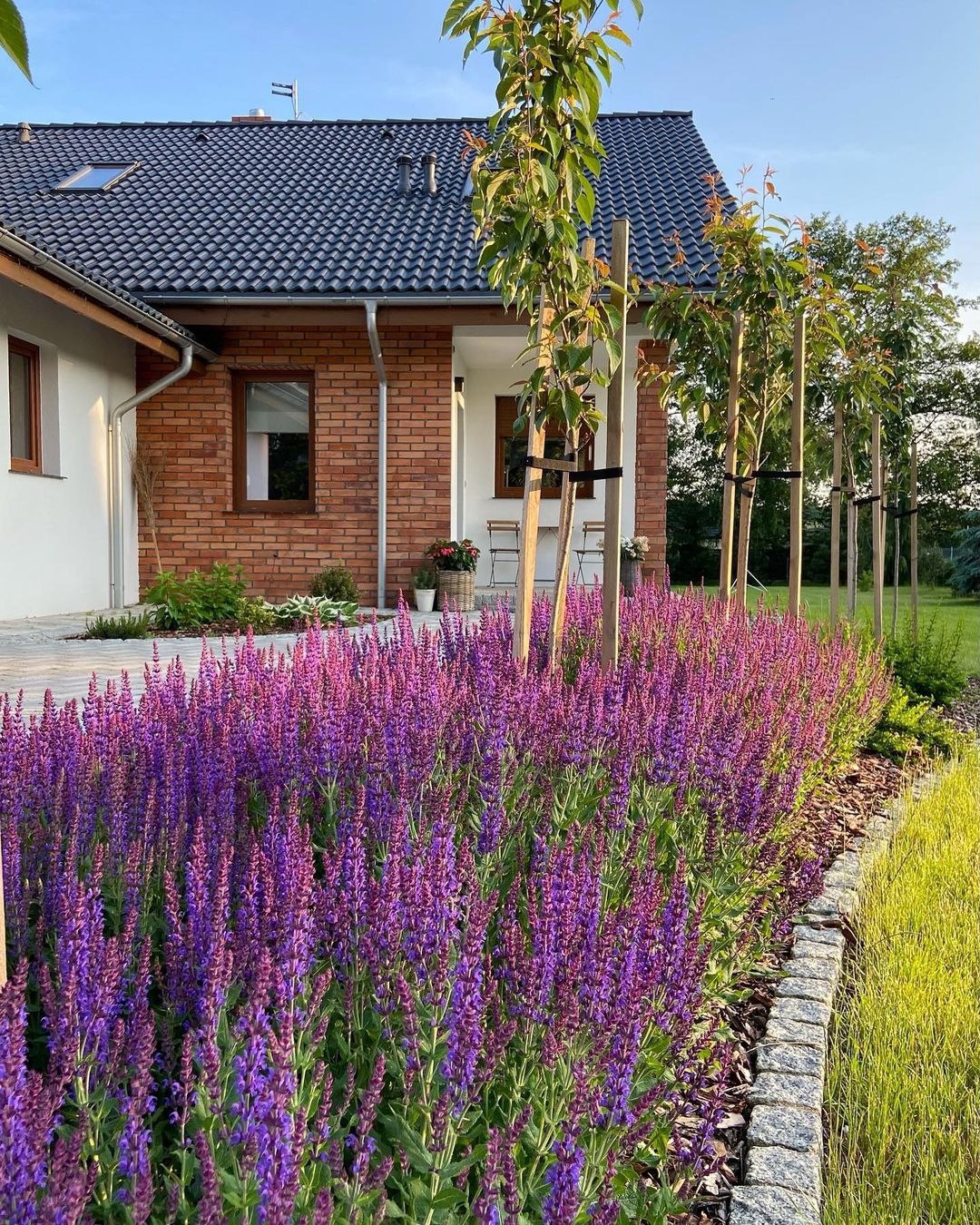 Коли Юрій повернувся з армії, усе було інакше. Двір заріс травою, мама трохи більше посивіла, а брат Віталій – одружився. – Знайомся, це Марина, – сказав Віталій, притискаючи до себе молоду жінку. – Тепер вона – наша родина. Марина несміливо посміхнулася. Очі в неї були карі, теплі, трохи втомлені. Її усмішка була стриманою, але щирою. Юрій дивився – і не міг відвести погляду. Вона була не така, як інші дівчата в селі. Не голосна, не метка. Спокійна, уважна, з якоюсь внутрішньою гідністю. І щось у ній торкало так глибоко, що Юрій у перші ж хвилини зрозумів – усе. Закохався