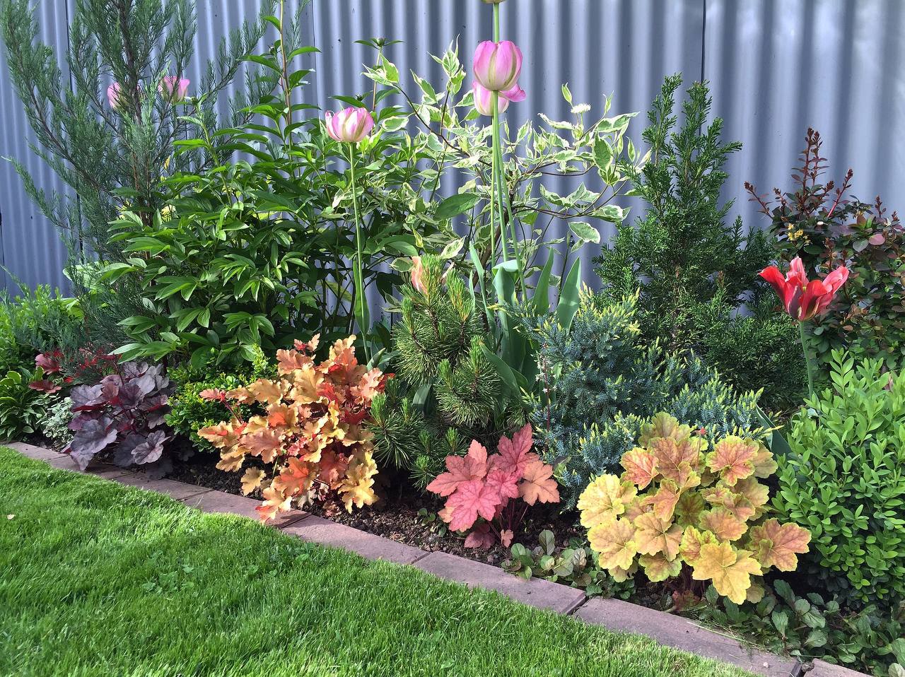 — А чого гадати, м’ясо нині дороге, значить і сосиски дорогі. — Сто гривень! Шуро, чуєш, сто гривень. Ну, якщо вже точно, то 99 за кіло, ось як! — Михайло, розуміючи, що пенсія не гумова, за прикладом дружини, теж намагався заощаджувати