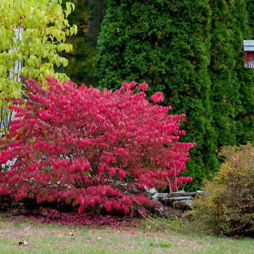 Та що ж це таке?! Мені сорок років, а я стою, як школярка, що нашкодила! У мене двоє дітей! Мене поважають на роботі