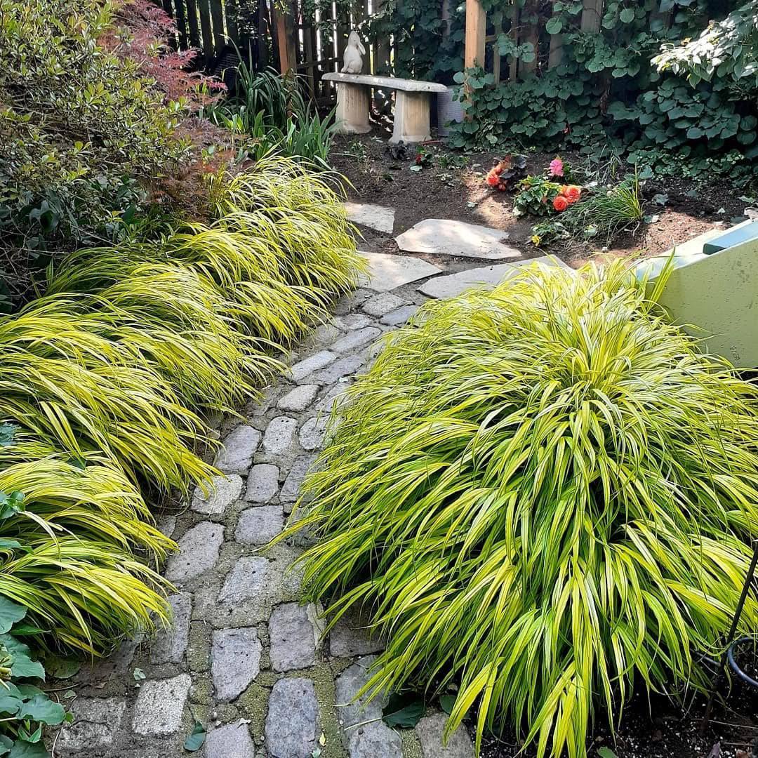 Вона була готова терпіти все, що завгодно, але тільки не зраду. Через хвилину жінка вже влетіла в свою квартиру, забігла в кімнату… схопила «наїзницю» за волосся. Пронизливо закричала. Ще секунда. Якийсь чоловік схопив Стефанію і спробував відтягнути, але та пручалася і продовжувала кричати. Скільки часу минуло, поки до Стефи дійшло, що відбувається, вона не знала.