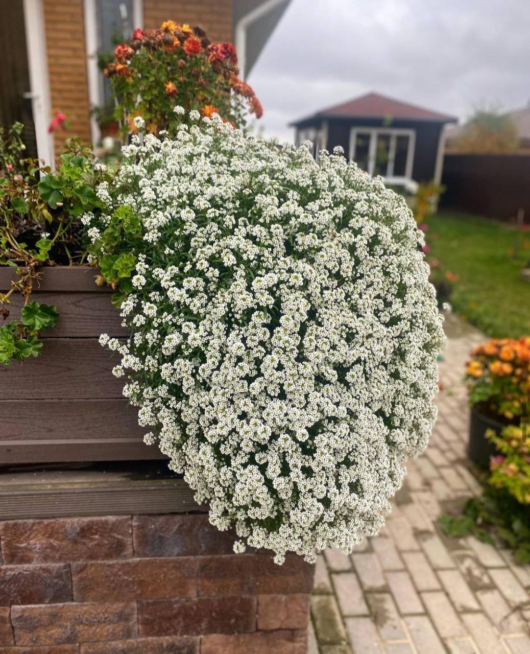 – Ого, так ти навіть квитки їм не оплатив? Просто пообіцяв безкоштовне проживання в чужій квартирі