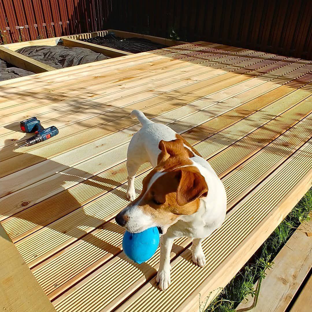 Я впевнений, що ви не дуже добре думаєте про мене, але ви не праві. Мене абсолютно не лякає наявність трьох дітей. Мене лякає інше, а саме, я сам