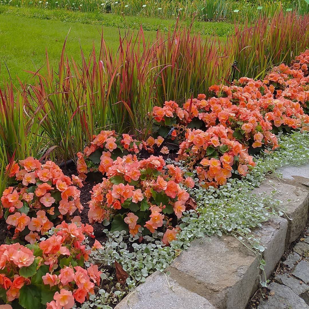 – І треба було вам підняти цю тему. – Петро поклав виделку й окинув усіх незадоволеним поглядом. – Так, усе це купив я, щоб уникнути конфлікту