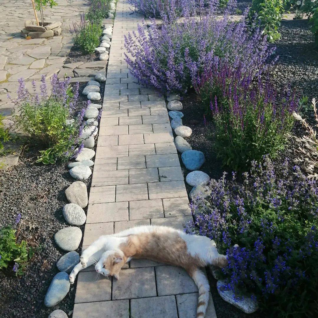 – Я готова допомогти іноді, але не жертвувати своїм часом і бажаннями повністю. Сподіваюся, ви навчитеся планувати своє життя без постійного використання мене