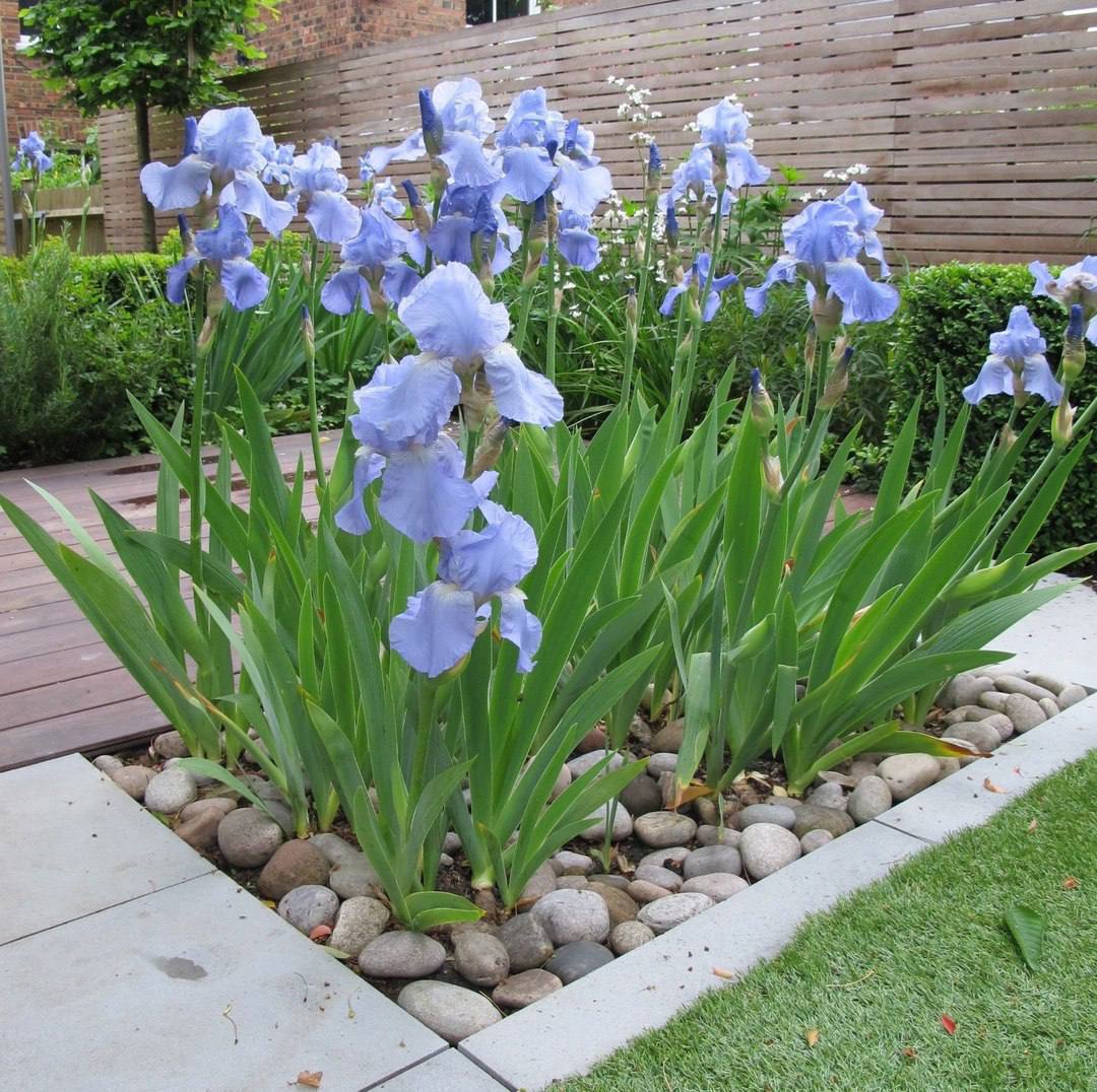 -Тетяно, що у вас там відбувається? Ліза про якусь маму Катю розповідає, що вони поїдуть із цією мамою Катею далеко і з татом