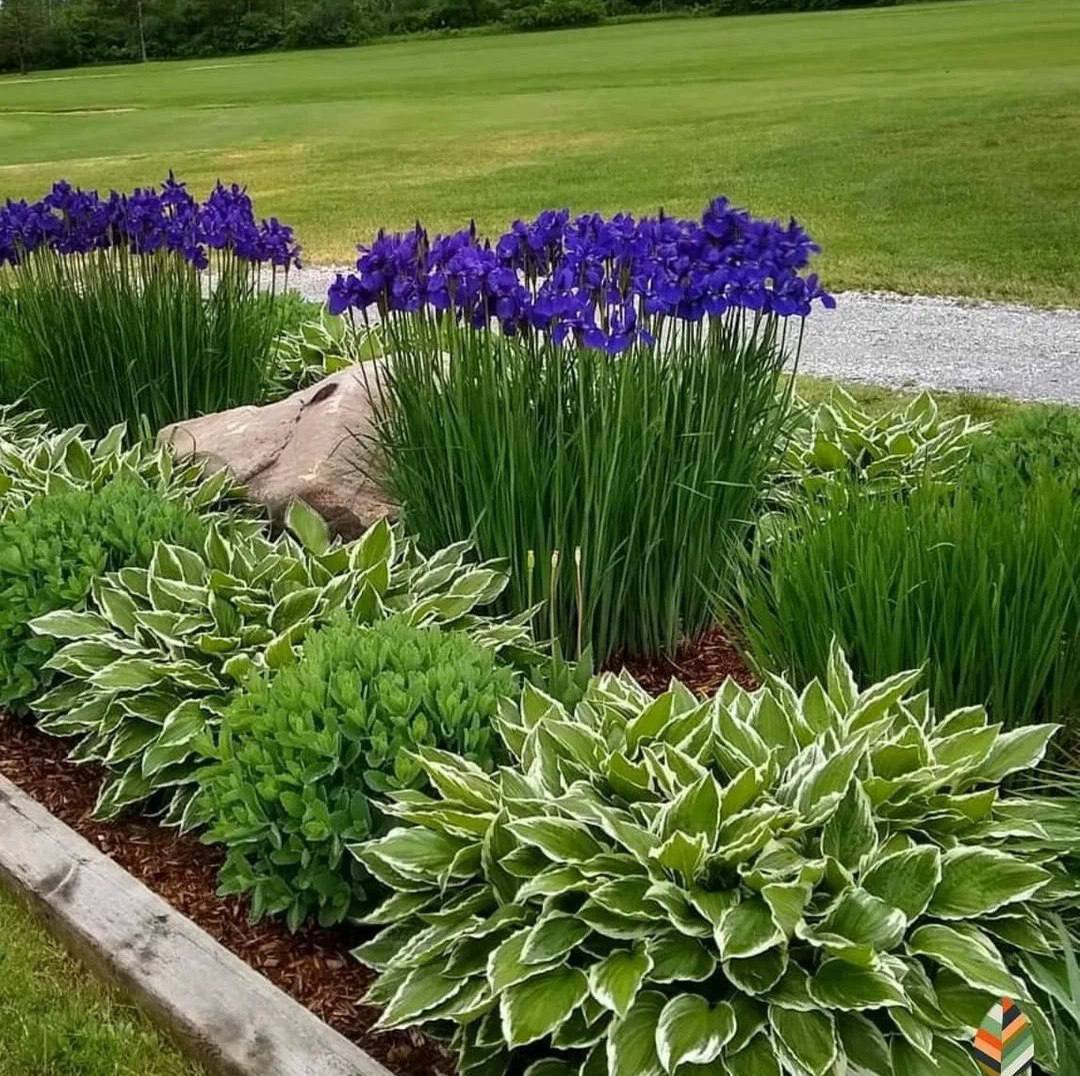 – Мама твоя поставила умову. Або я продаю будинок, або забираюся. Ти вже вибач, я розповів, що ти тут живеш