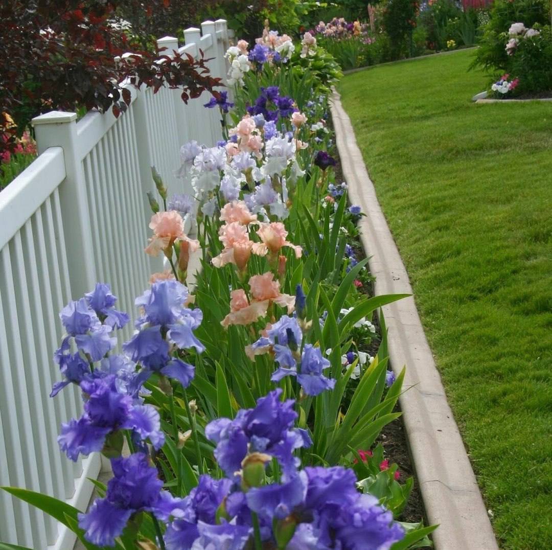 – Це я що, сам собі нового татка знайшов? Чудово