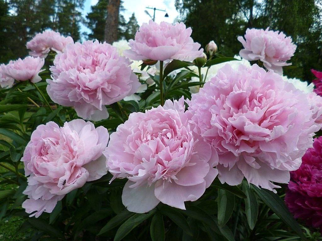 – А може, я завжди хотіла, щоб ти не відпускав мене. Просто сама не розуміла цього