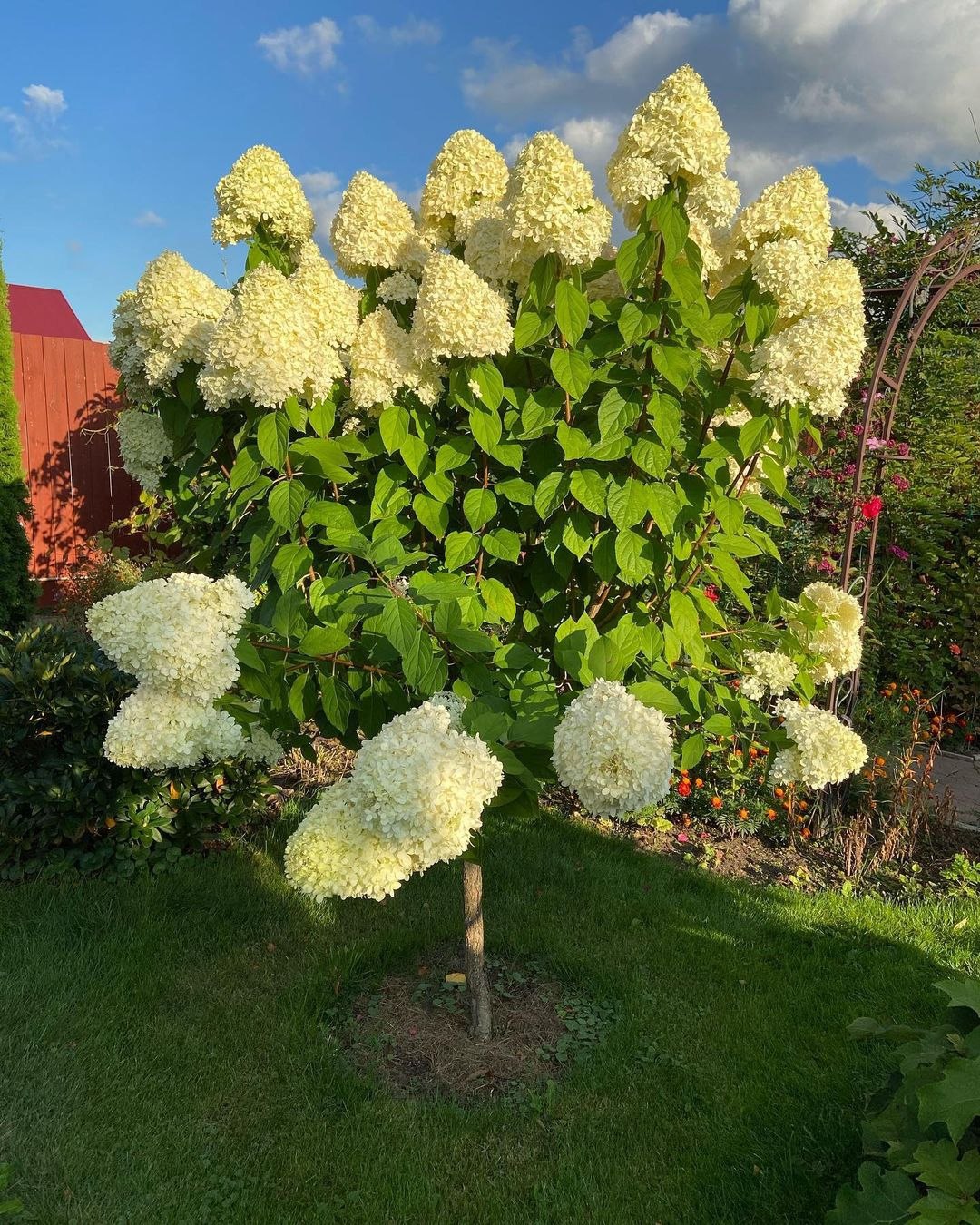 – Пожили? Тепер я тут буду жити! Я ближчий родич