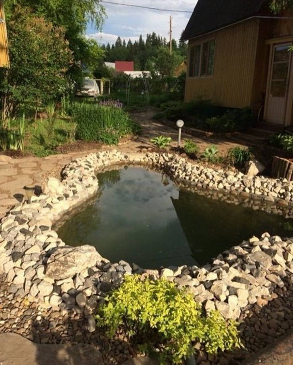 Коти, вони щастя приносять і погані емоції забирають у людини. Тобі це особливо зараз потрібно