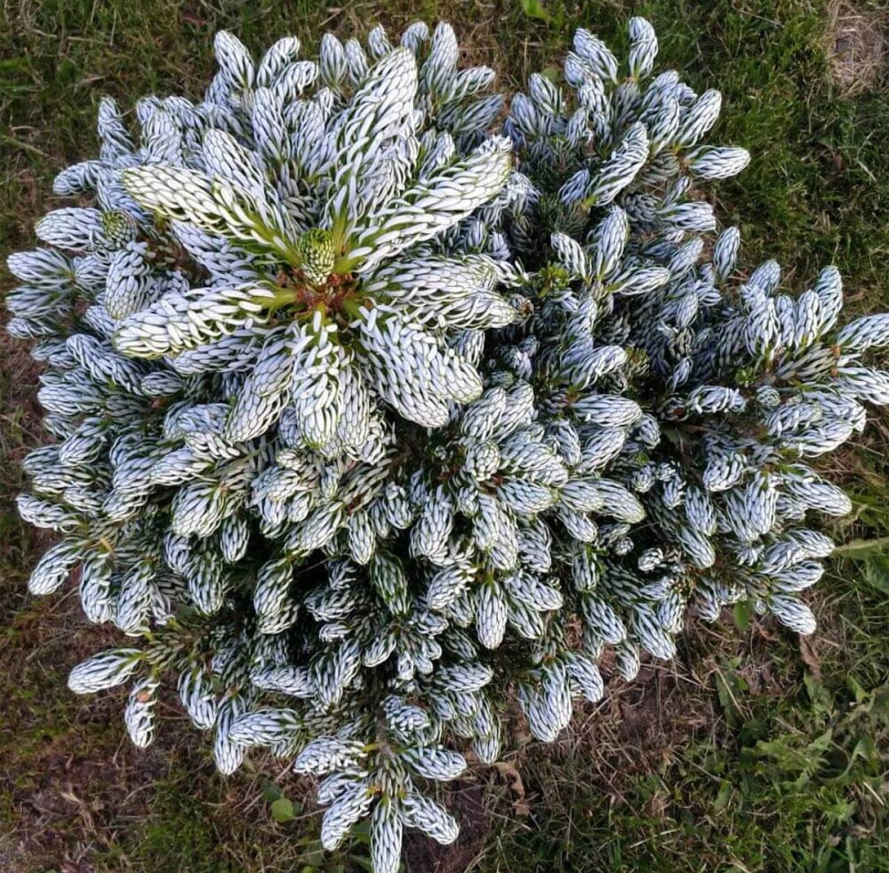 – Усе добре, я здорова, у гостях. Коли приїду, не знаю. У вас усе гаразд? – Марія не стала поки нічого розповідати доньці