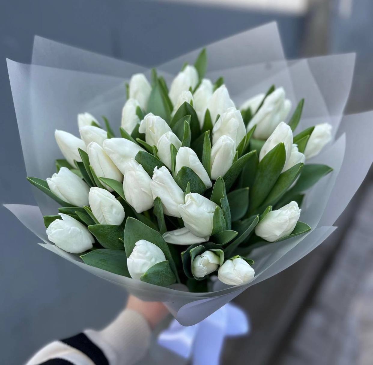 Коли син з невісткою поїхали відпочивати, я вирішила навести лад у квартирі. І тут мене спіткала приголомшлива знахідка: серед старих паперів я натрапила на договір купівлі-продажу квартири, оформлений на ім’я мого сина. Виявляється, він купив житло ще рік тому і приховував це від мене. Я не могла повірити своїм очам