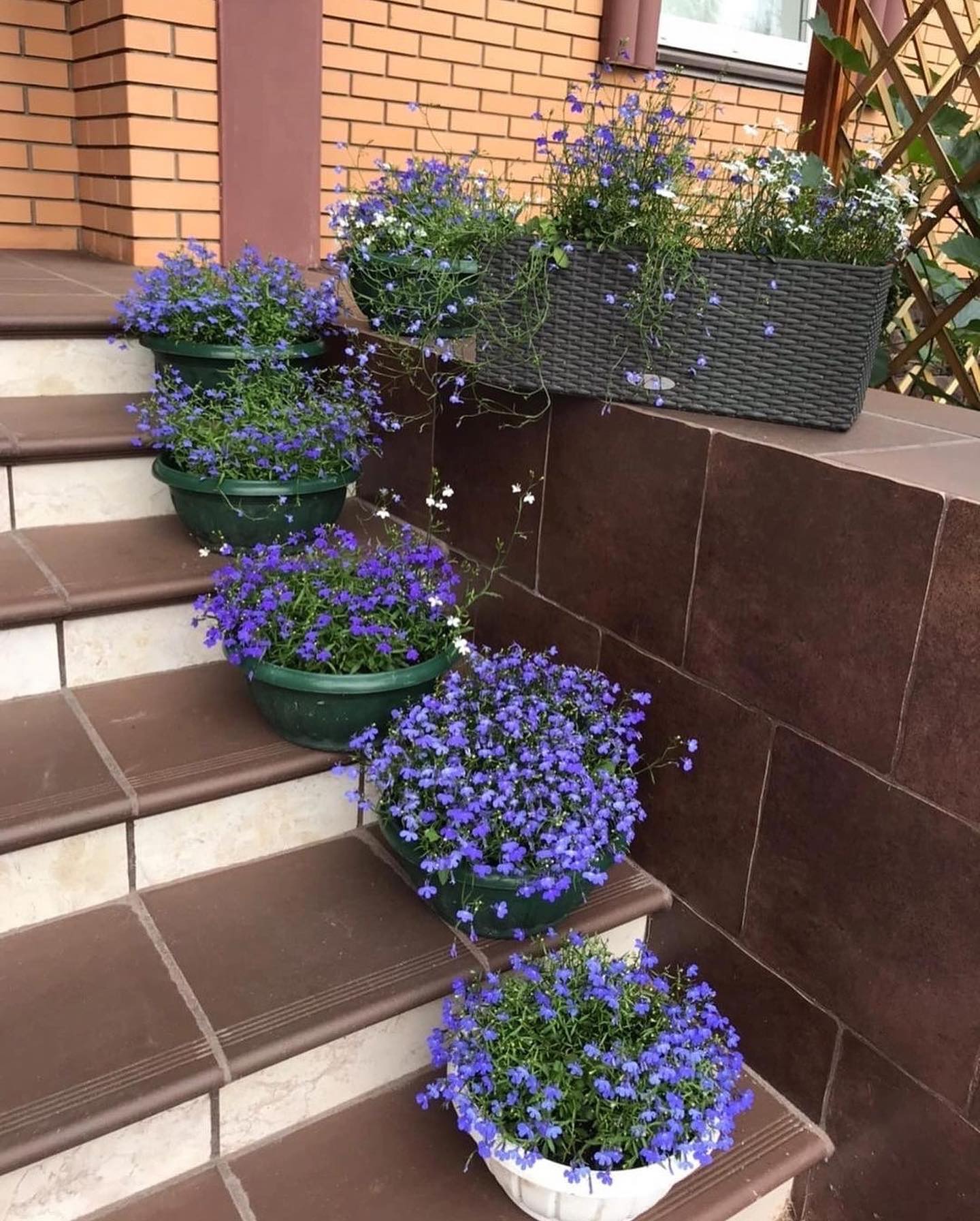 Я не йду від тебе, просто не поїду з вами. Можеш навіть не вмовляти, бо для мене це не відпочинок