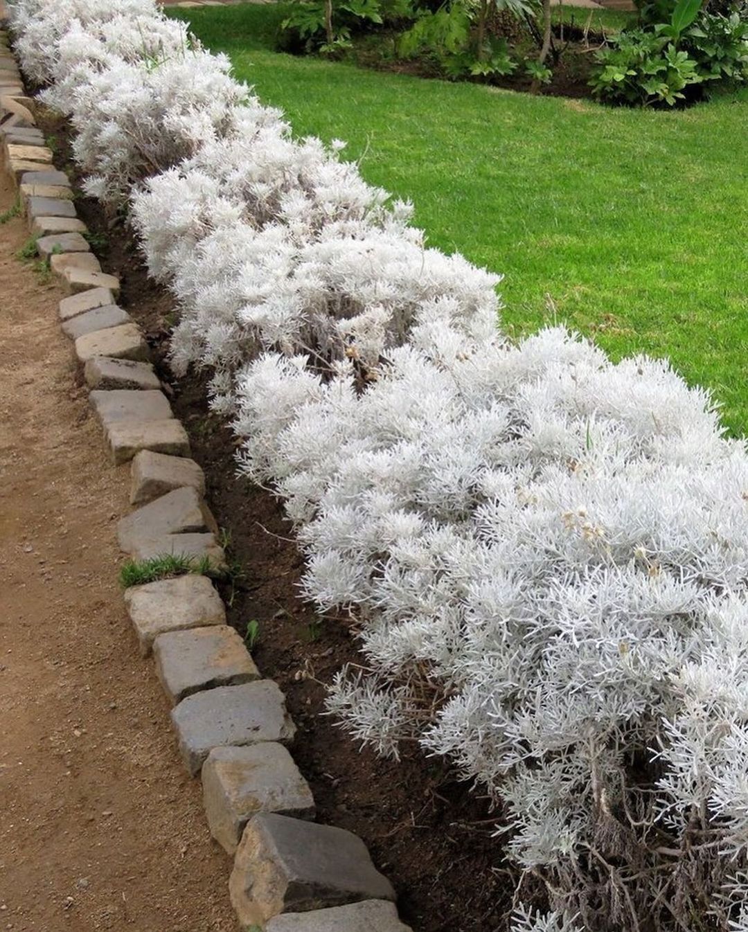 – Зараз молодь тільки й думає про те, щоб жити окремо. А як же спадок? А хата? А земля?