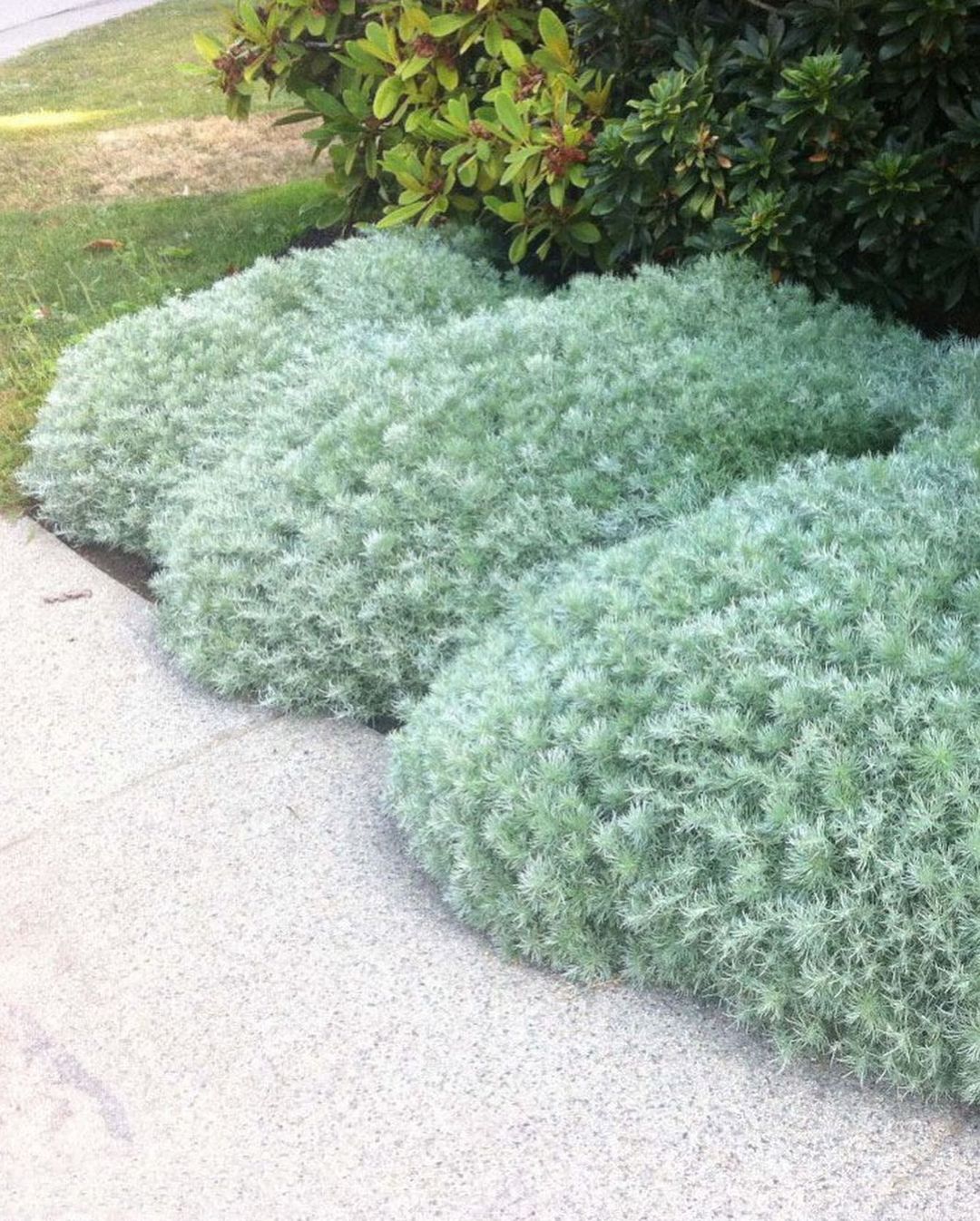 – Уже нічого не можна. Ти зробив свій вибір. Я – свій