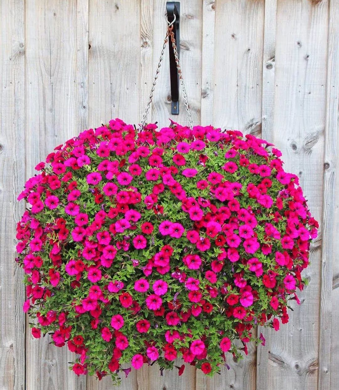 «Дuтбудuнк0Ba бiдHiсть!» — свекруха й чоловік кидали ці слова просто в обличчя Світлані. Та як же гірко їм довелося пошкодувати про це згодом…