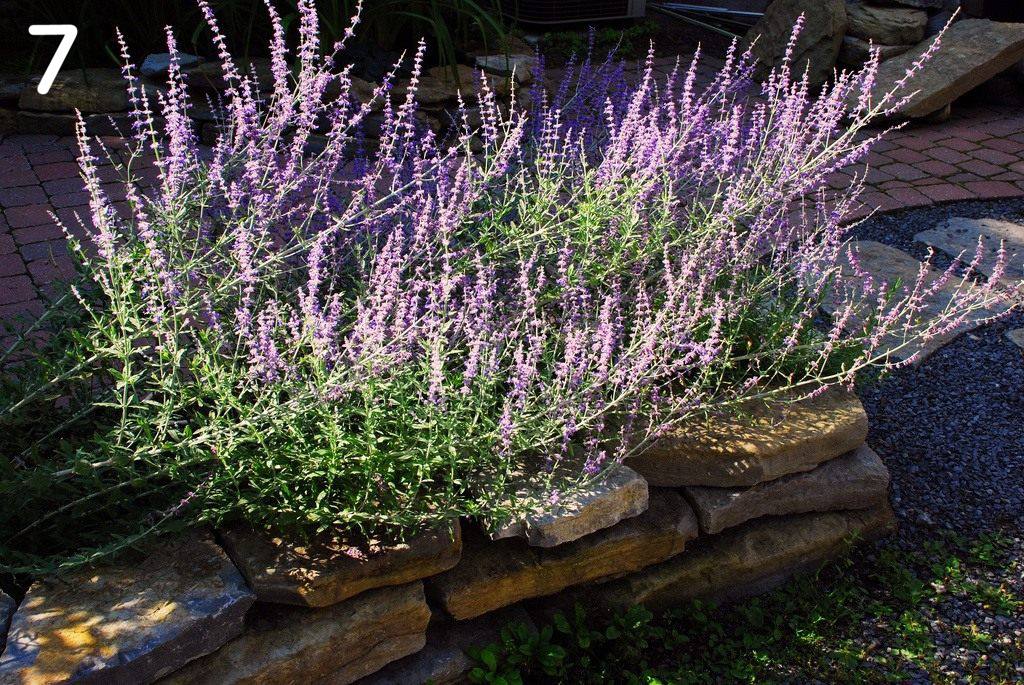 – Іди до цієї жінки і зроби її щасливою. І мене відпусти, бо разом у нас із тобою немає майбутнього. А в тебе є