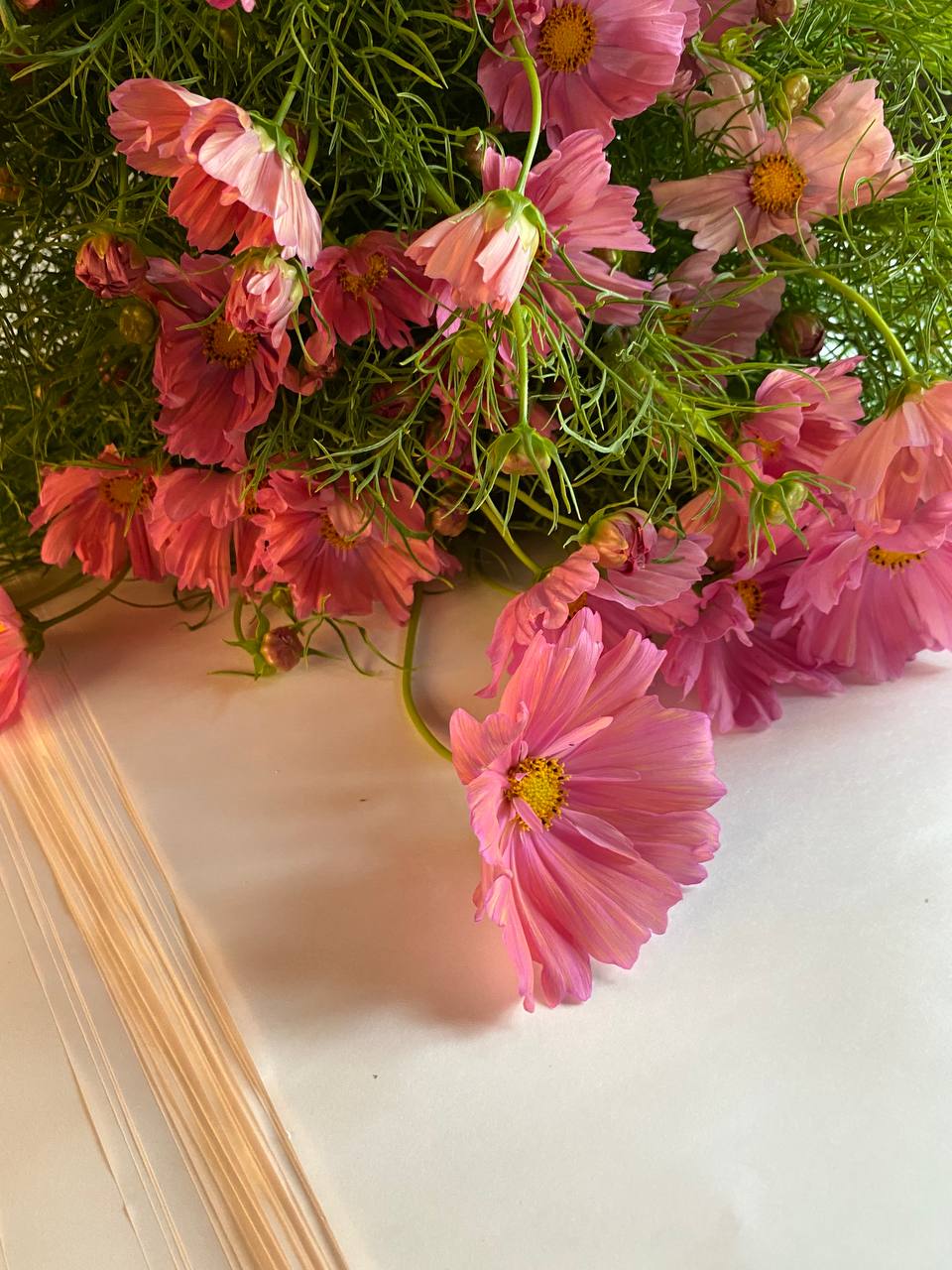 – Квартиру я на тебе оформила, все тобі дістанеться. Матері не думай поступатися. Краще взагалі її не пускай