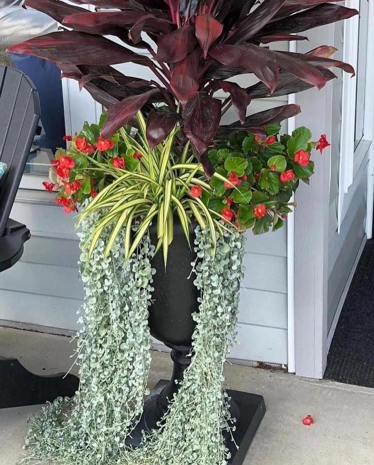 – Ну і навіщо це? Тебе хто просив? Ти що, голодний – на чужі туфлі кинувся. – Вона довго вичитувала кота, намагалася шваброю дістати його, але він вперто сидів у своєму сховищі