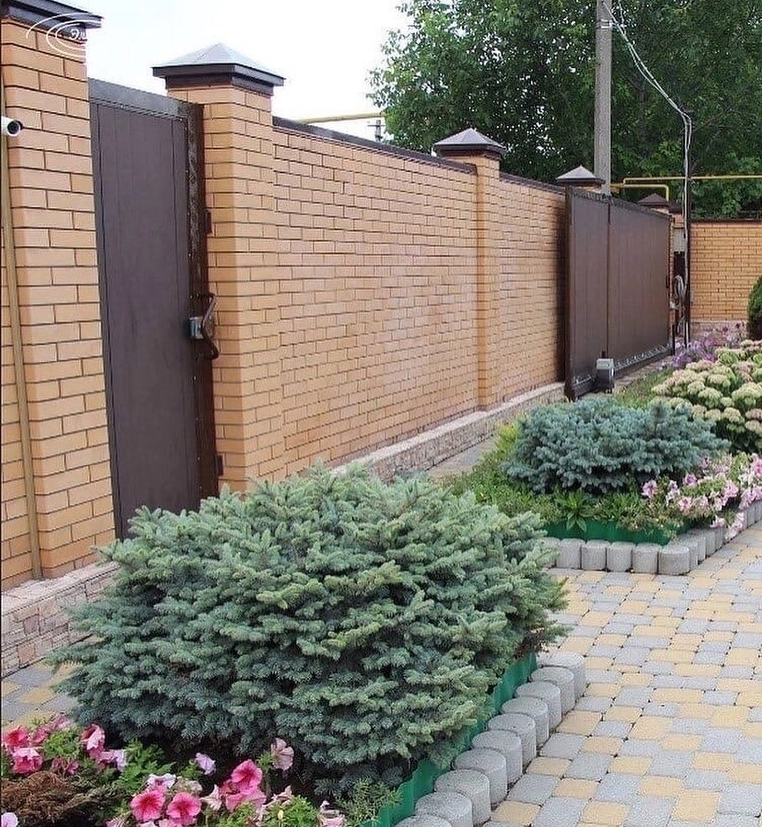 Ну як що я тут роблю? Переїжджаю до вас. Невже не зрозуміло? Мама з Олегом домовилися, що мені зручніше жити тут, – сказала зовиця Софії, яка щойно повернулася з роботи і здивована навіть не встигла зняти взуття. – Як це ти будеш жити в моїй квартирі лише тому, що так захотіла свекруха? А де ж це мій чоловік? Софія сердита пішла до Олега на кухню, а зовиця раділа, бо тепер вона зекономить багато грошей