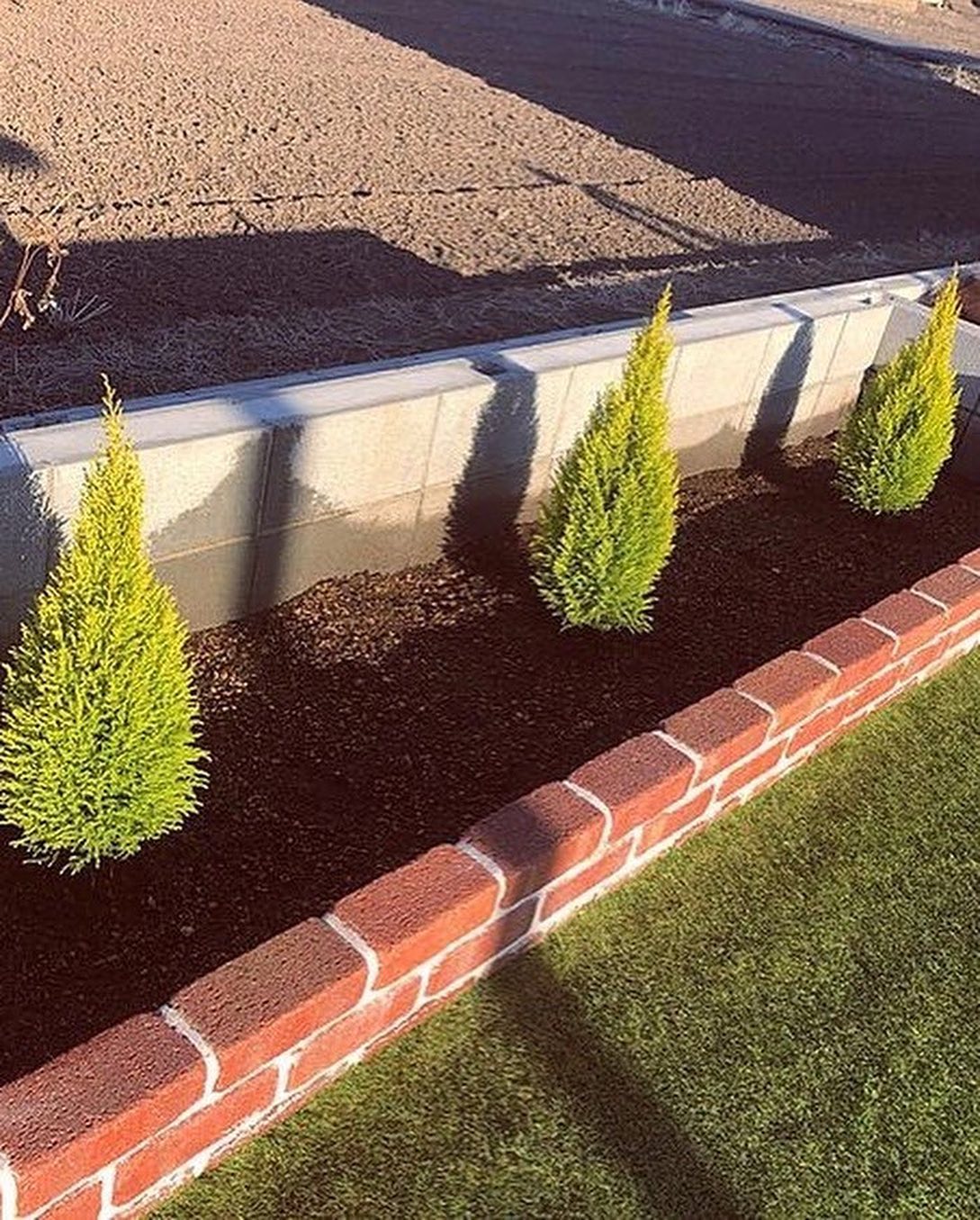 – Плани тут встановлюю я! Забули хто вас годує? – Гаркнула свекруха