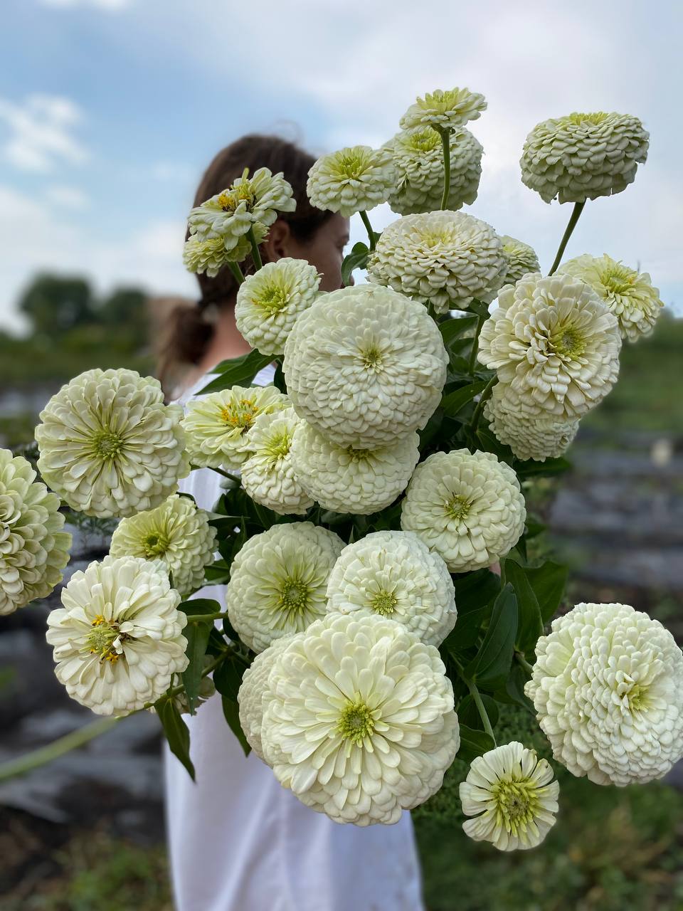 – Марічко, виручай, – подруга говорила з вдаваною легкістю