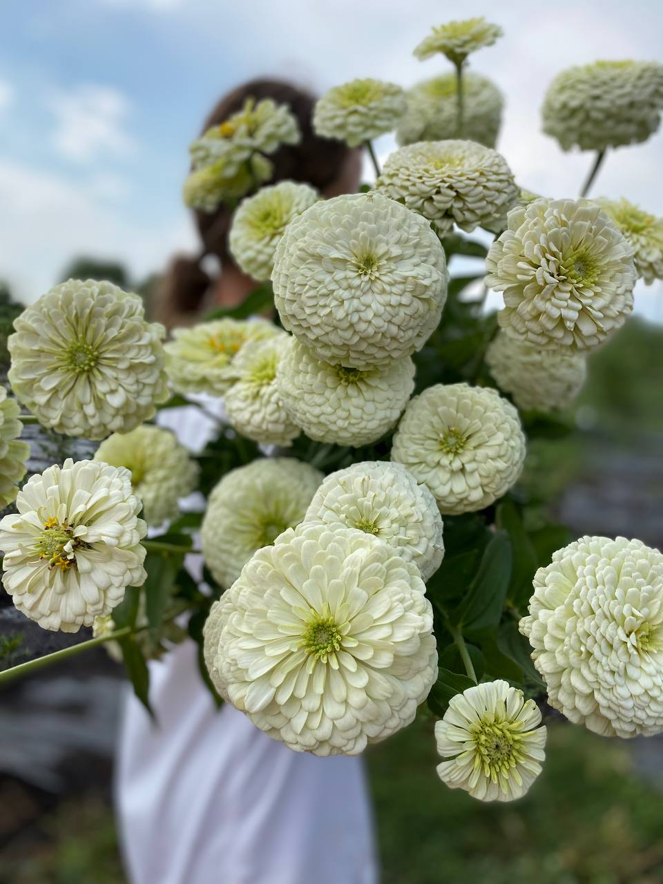 — Оксанко, ти прокинулася? Я надів тобі шкарпетки, поки ти спала, тобі ж це важко, а каша тепла на плиті. Я бачив, що ти не могла заснути й дивилася фільм до п’ятої ранку, не сумуй, люба, у вихідні поїдемо на природу і ти розвієшся