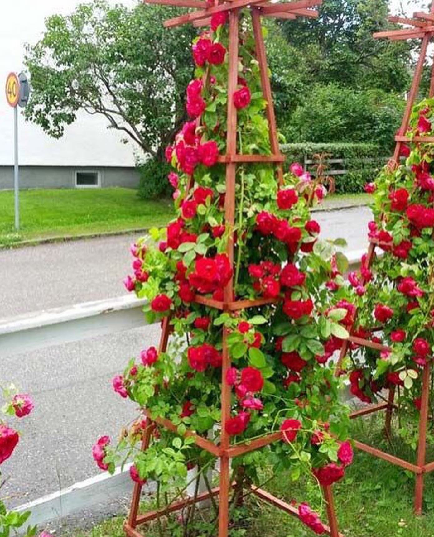 Василю, ти ж свій, брат рідний… Допоможи. Я знаю, в тебе є, – просила Надя, схрещувала руки, ніби благала не просто про гроші, а про останню надію. Василь мовчав. Йому важко було чути це з вуст рідної сестри. Надя – молодша на чотири роки. Разом зростали: він – тихий, відповідальний, вона – говірка і трохи легковажна. Завжди знала, як вмовити маму, як обернути щось на свою користь. Але Василь не ображався. Навпаки – допомагав, покривав її витівки, давав свою порцію цукерок