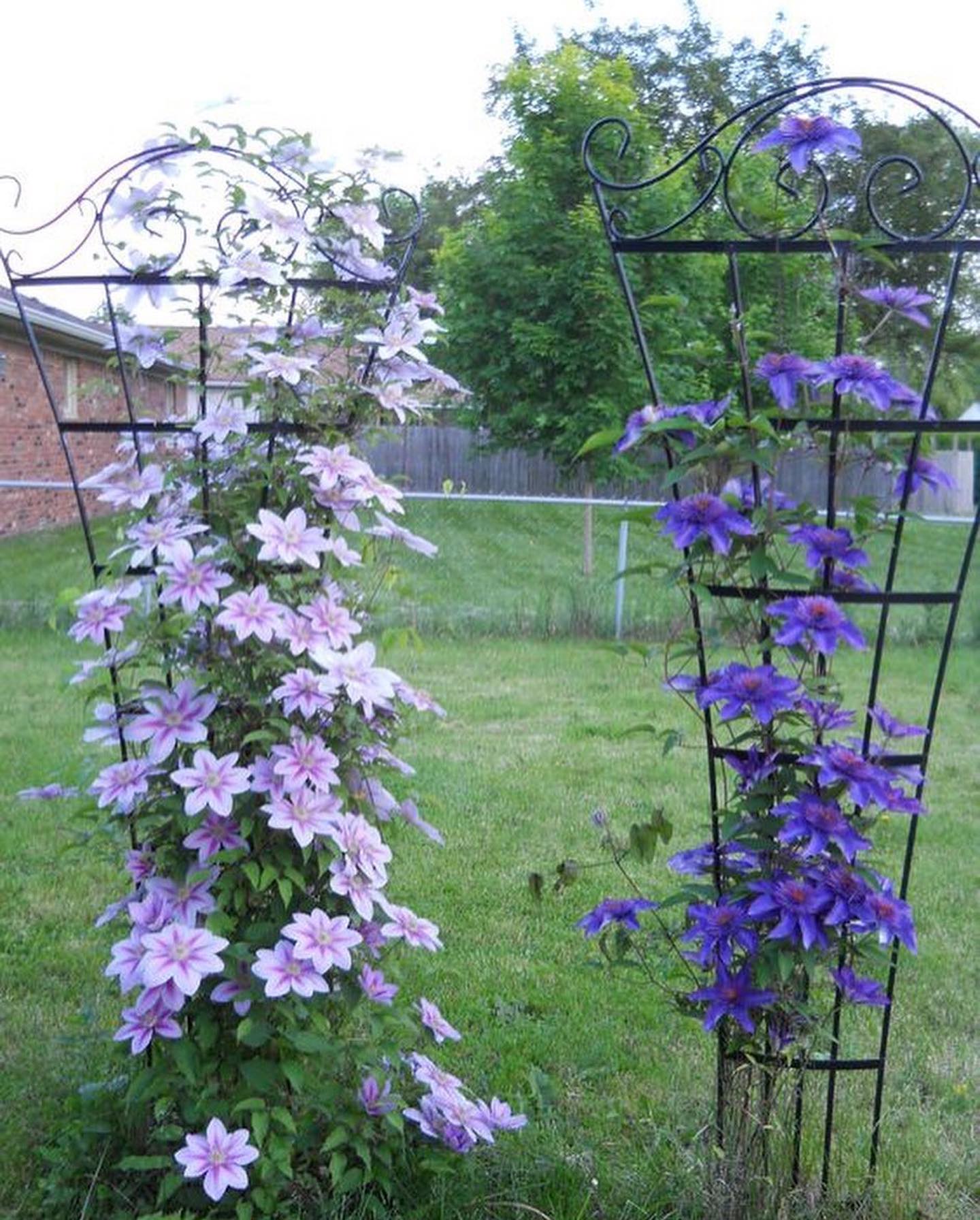 — Знаєш, я взагалі-то подарувала тобі двійнят. І за наше сімейне життя набрала всього сім кілограмів, і то після появи дітей! А ти вже на п’ятнадцять кілограмів “підріс”, м’яко кажучи. Тож не тобі мене вичитувати! — Я мужик, мені можна!…