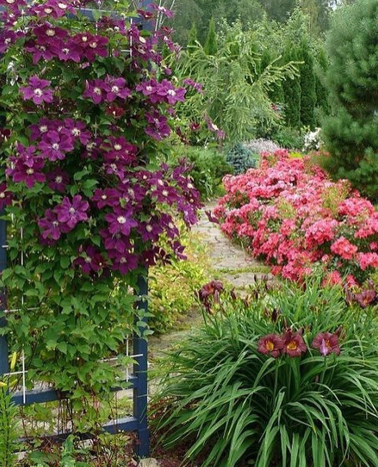 Вона не була просто собакою. Вона була останньою, хто лишився, коли всі зникли. Остання, хто дивився мені в очі, не відводячи погляду