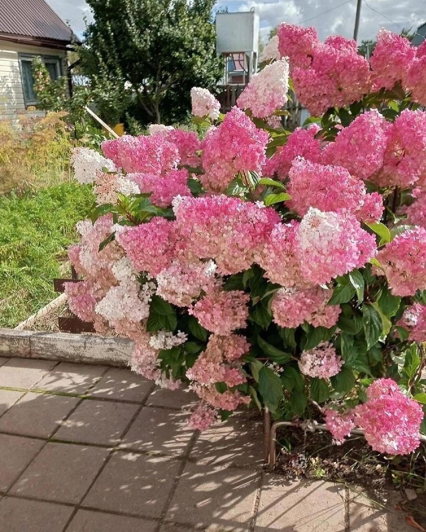 – Ти нічого не отримаєш! І аліменти я тобі платити не збираюся! – роздратовано сказав Михайло