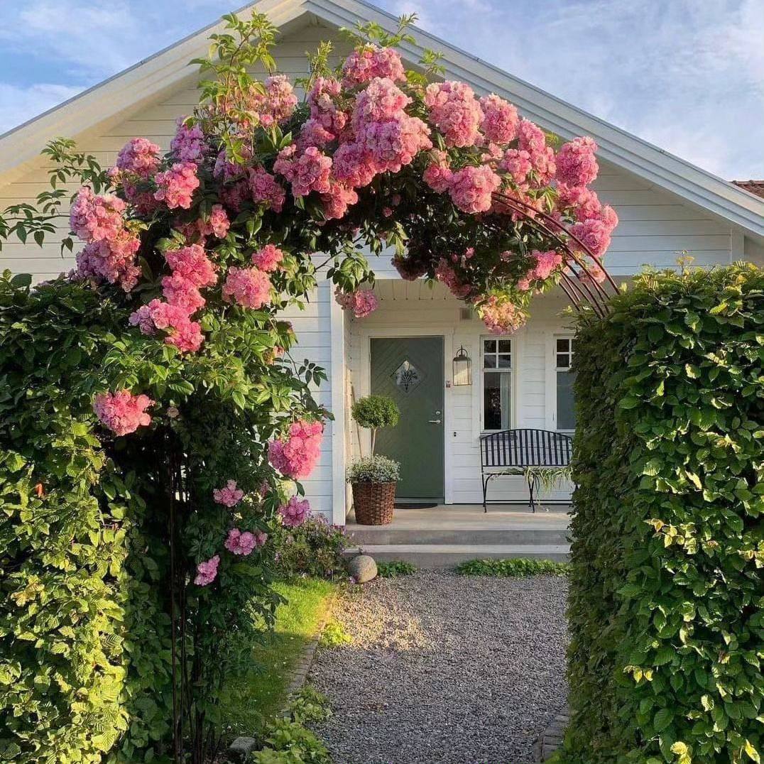 – Квартиру я на тебе оформила, все тобі дістанеться. Матері не думай поступатися. Краще взагалі її не пускай