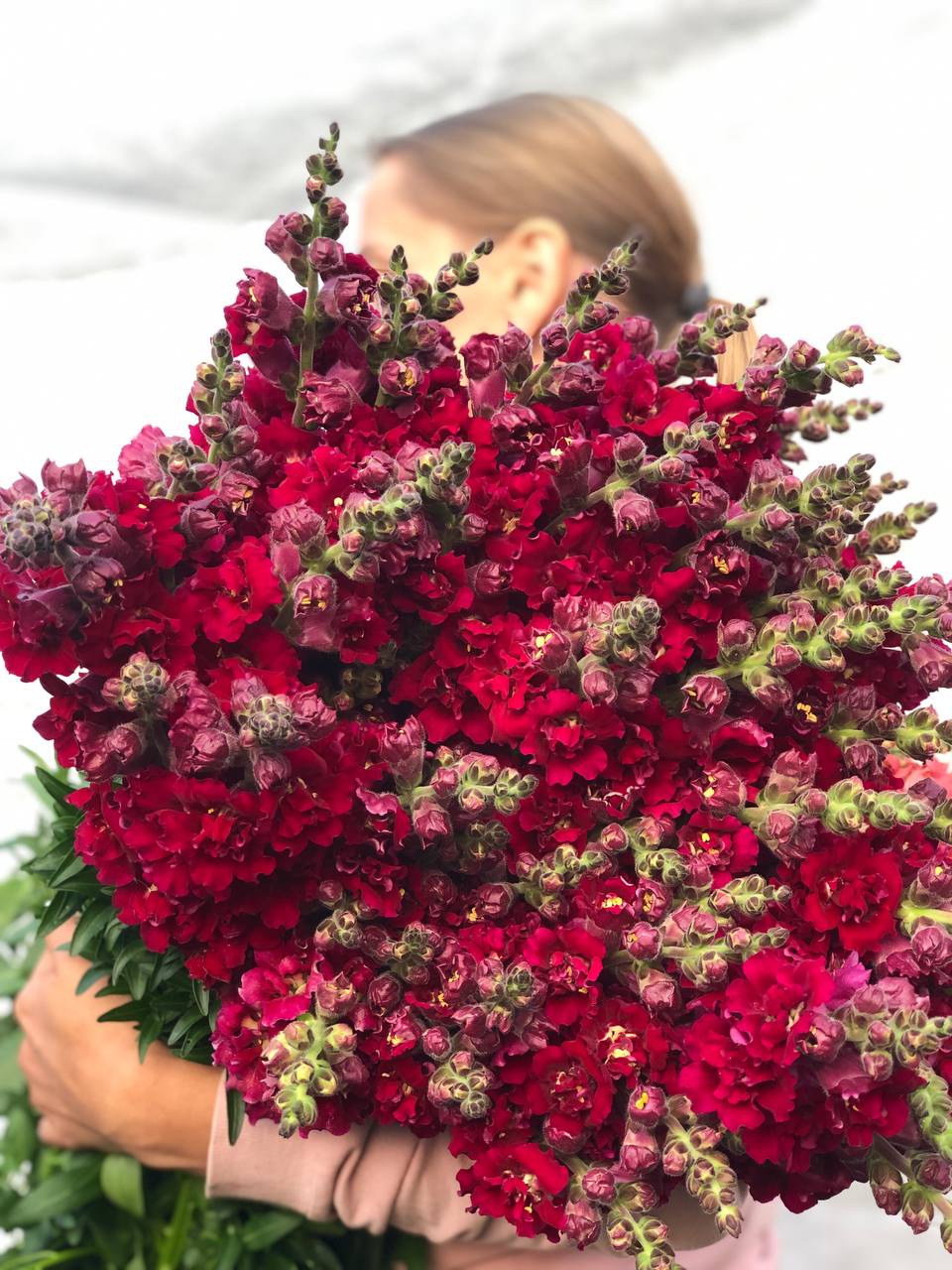 — Та не у мене син. А у сусідки моєї, Каті. Чоловік твій часто заходив раніше, ось і принесла від нього в подолі. Такий же рудий і конопатий, як батько, і експертизу робити не треба. — А від мене ви чого хочете? Чоловіка мого не стало нещодавно, я поняття не маю, з ким він там водився… — Так Катька ця теж пішла в засвіти