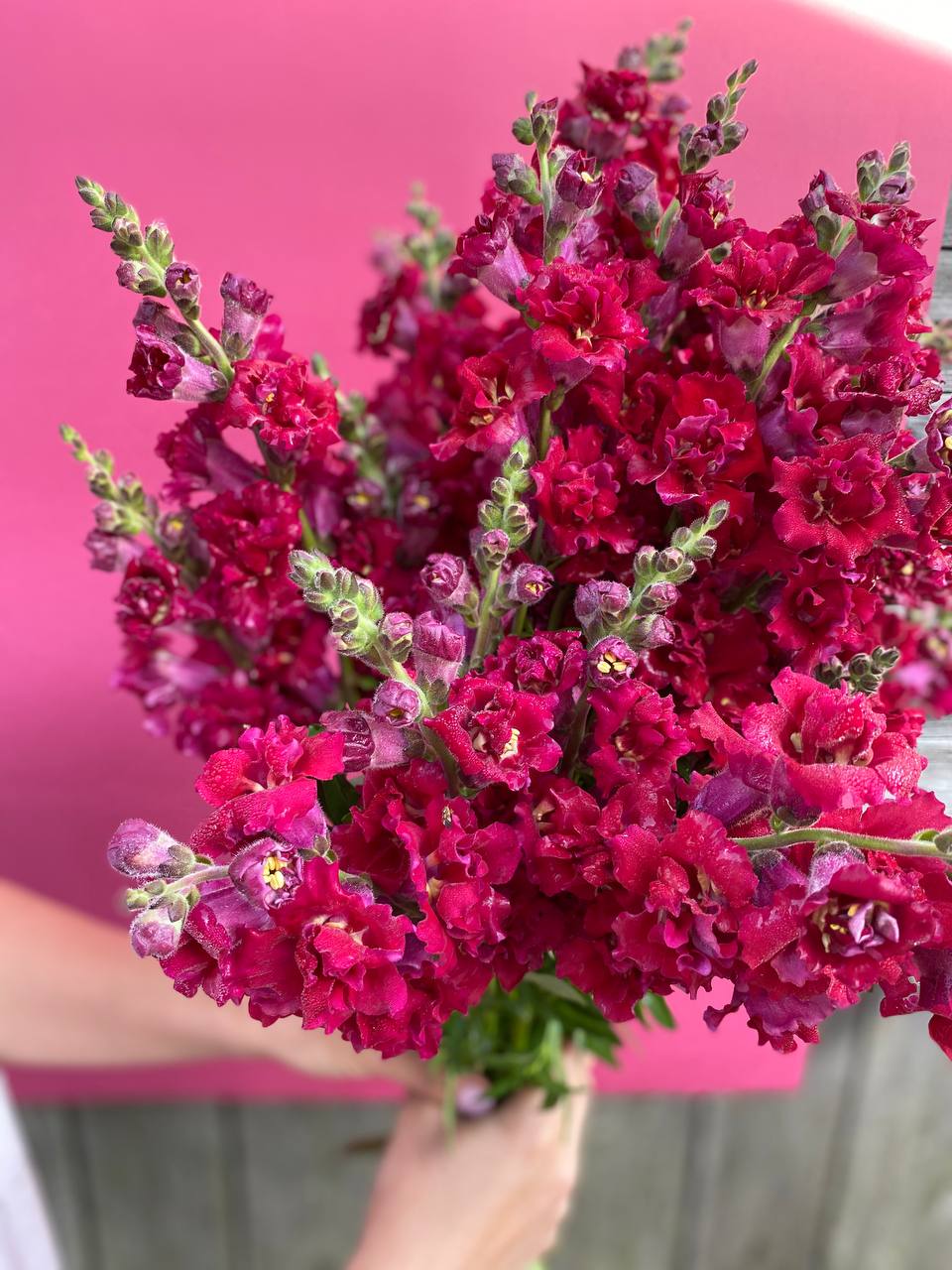 – Такого діда ще пошукати треба, він же за батька і за маму зовсім Сашкові став, – хвалили Микиту односельці. Життя з дідом було просте, Сашко швидко звик до сільських порядків: вставати рано, годувати курей, носити воду з криниці. А ще – до тиші, в якій було тепло. – Діду, а ти не боїшся, що я колись тебе покину? – спитав якось. – А ти не рости з таким страхом, – усміхнувся дід. – Моя справа – посіяти в тобі добро. А твоя – як зійдеш, так і рости