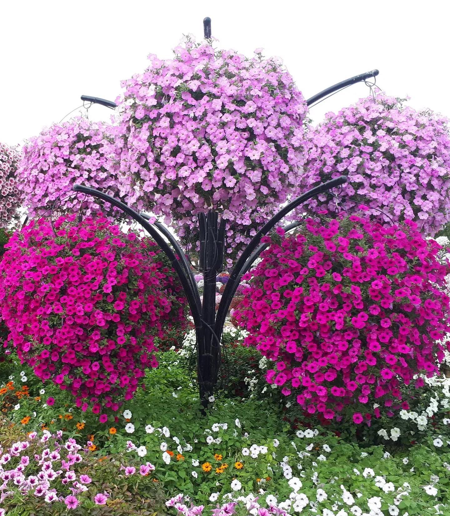 — Ти розумієш, що залишила голодними цілу купу людей?! – обурювалася в слухавці Алла Прокопівна. – Як тобі не соромно?