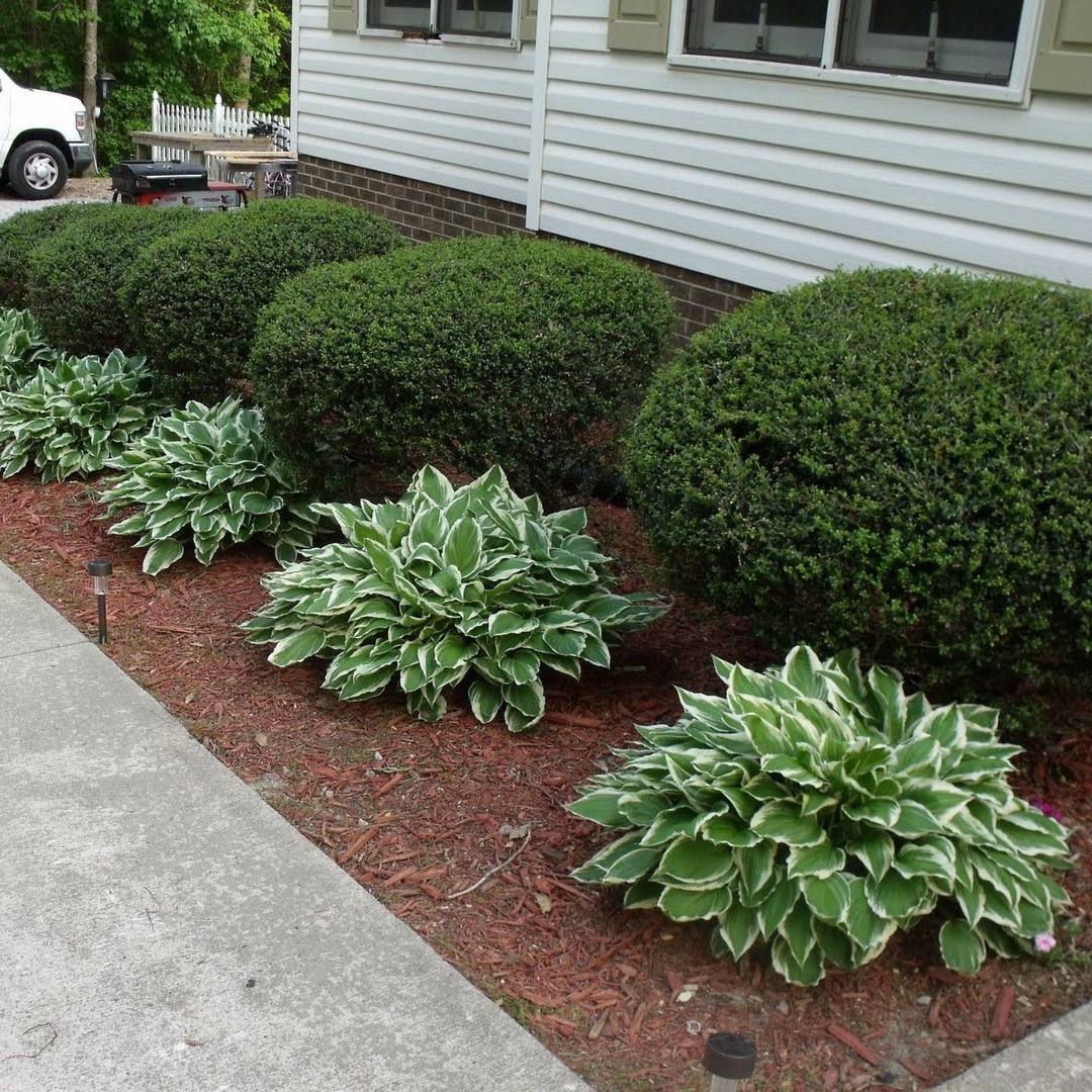 – Мені справді хочеться знати, що ти відчуваєш. Будь ласка, поділися зі мною. Обіцяю, що слухатиму уважно