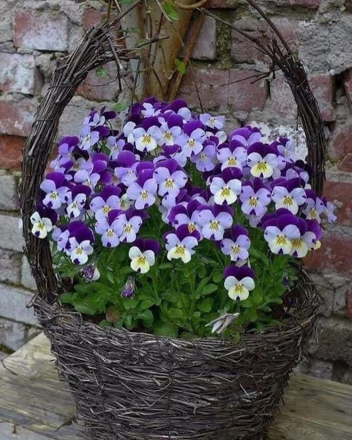 Через пів року збентежена Лариса залишилася із заповітом. Папірець був, а от майна не було! Вона довго кричала і вимагала перевірити все, але на жаль…