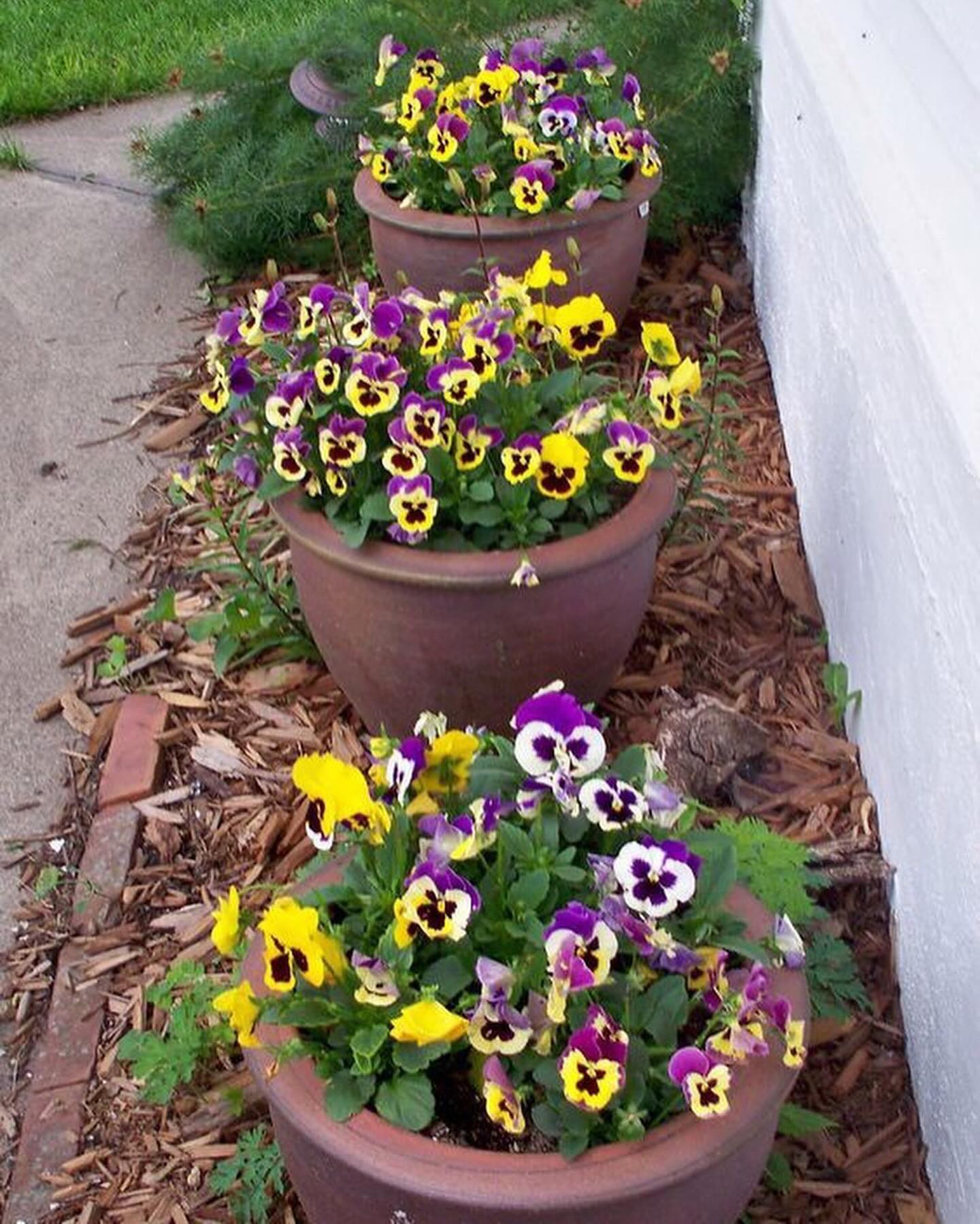 — П’ять хвилин уже вдома, чому вечеря не на столі?!
